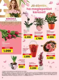 Spar akciós újság hét 10 Oldal 12