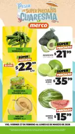 Folleto Merco Página 1