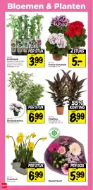 Vomar Voordeelmarkt folder week 10 Pagina 32