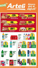 Folleto Arteli Página 2