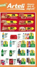 Folleto Arteli Página 2