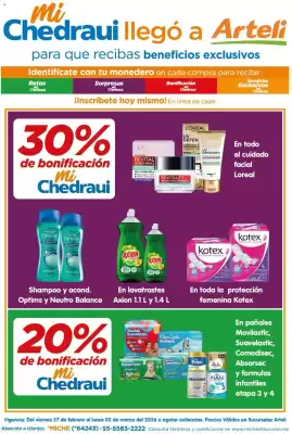 Folleto Arteli (válido hasta 3-03)