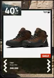 Catálogo Lippi Página 6