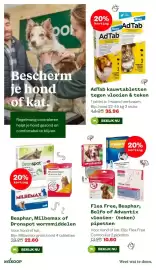 Welkoop folder week 10 Pagina 23