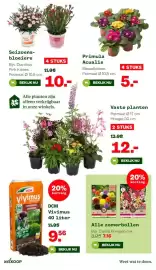 Welkoop folder week 10 Pagina 4