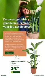 Welkoop folder week 10 Pagina 5