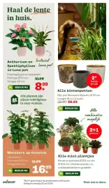 Welkoop folder week 10 Pagina 6