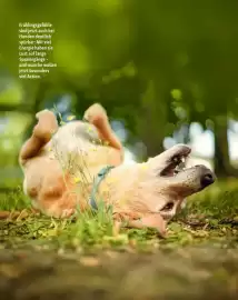 Fressnapf Flugblatt Seite 12