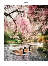 Fressnapf Flugblatt Seite 13