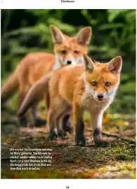 Fressnapf Flugblatt Seite 14