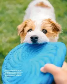 Fressnapf Flugblatt Seite 15