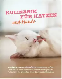 Fressnapf Flugblatt Seite 16