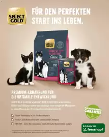 Fressnapf Flugblatt Seite 2