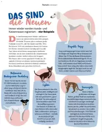 Fressnapf Flugblatt Seite 32