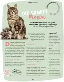 Fressnapf Flugblatt Seite 34