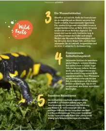 Fressnapf Flugblatt Seite 37
