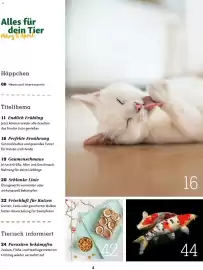Fressnapf Flugblatt Seite 4