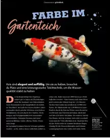 Fressnapf Flugblatt Seite 44