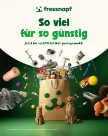 Fressnapf Flugblatt Seite 52
