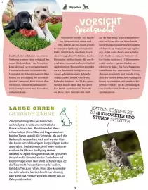 Fressnapf Flugblatt Seite 7