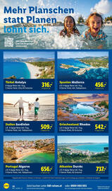 Lidl Flugblatt Seite 28