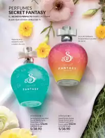 Catálogo Avon Página 67