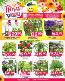 Catálogo Supermercados Gricki Página 1