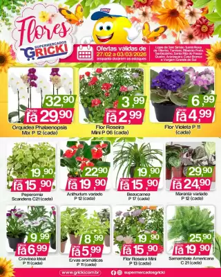 Catálogo Supermercados Gricki (válido até 3-03)