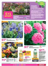 Catalogue Delbard page 3