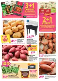 Catalogue Delbard page 4