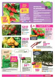 Catalogue Delbard page 5