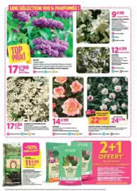 Catalogue Delbard page 6