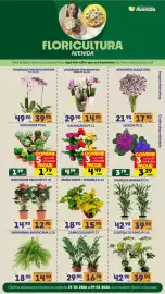 Catálogo Supermercados Avenida semana 9 Página 1