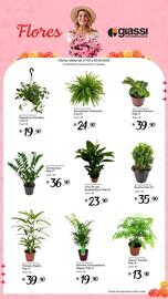 Encarte Giassi Supermercados semana 9 Página 2