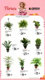 Encarte Giassi Supermercados semana 9 Página 2