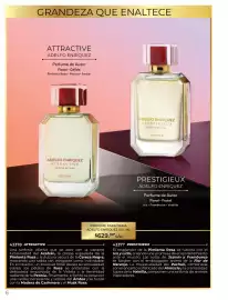 Catálogo Zermat semana 9 Página 118