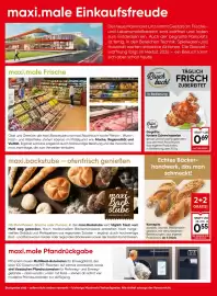 Maximarkt Flugblatt woche 10 Seite 2