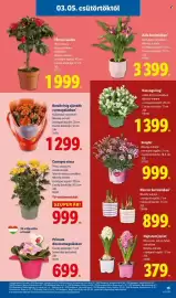 Lidl akciós újság hét 10 Oldal 15