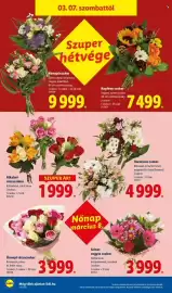 Lidl akciós újság hét 10 Oldal 38
