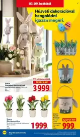 Lidl akciós újság hét 10 Oldal 18