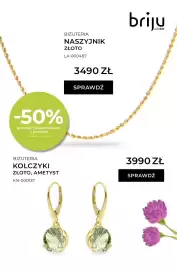 Briju gazetka Strona 5