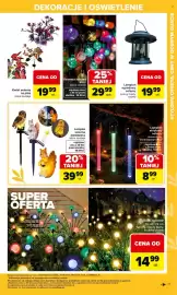 Carrefour gazetka Strona 17