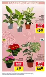 Carrefour gazetka tydzień 10 Strona 3