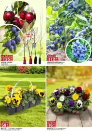 Merkury Market leták Strana 5