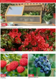 Baumax leták Strana 5