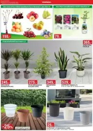 Baumax leták Strana 6