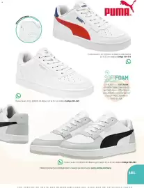 Catálogo SC Pakar Página 181