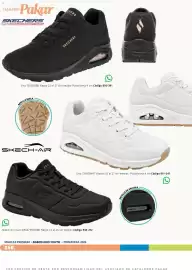 Catálogo SC Pakar Página 260