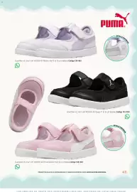 Catálogo SC Pakar Página 43