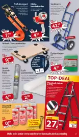 Sonderpreis Baumarkt Prospekt woche 10 Seite 17